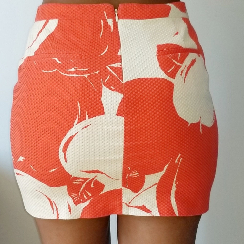J.Crew Skirt